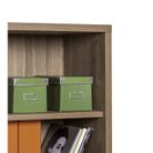 libreria-davinci-44x355xh217cm-noce-brera