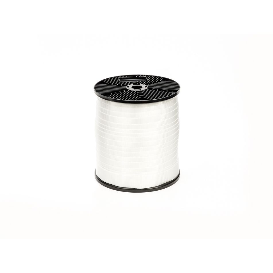 cinghia-bianca-larghezza-mm-dot-30