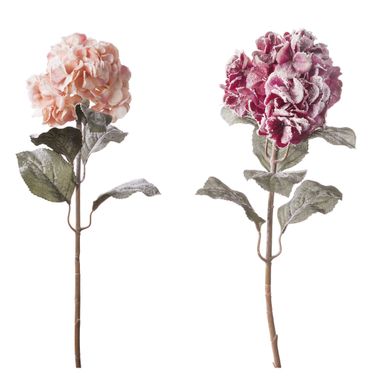 ORTENSIA INNEVATA CM85 ROSA / ARANCIONE.