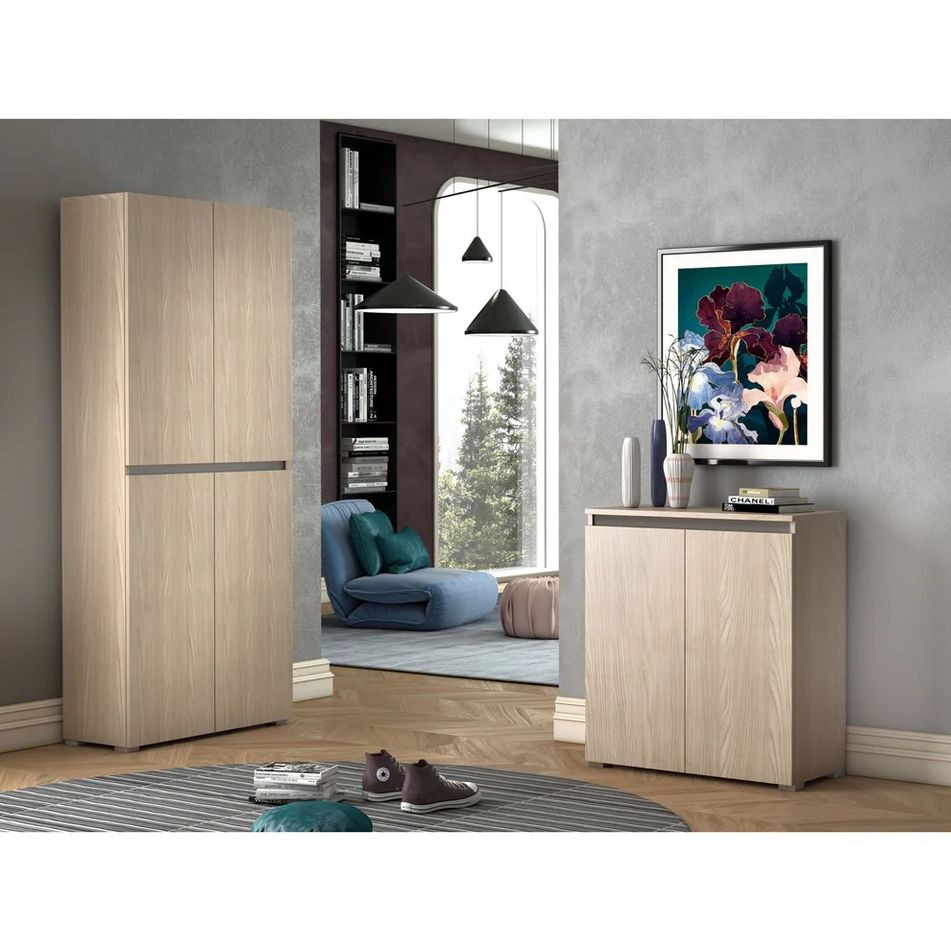elemento-box-80x37xh102cm-2-ante-olmo