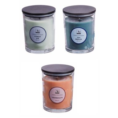 CANDELA PROFUMATA D.10XH13CM 3 FRAGRANZE CON VASET