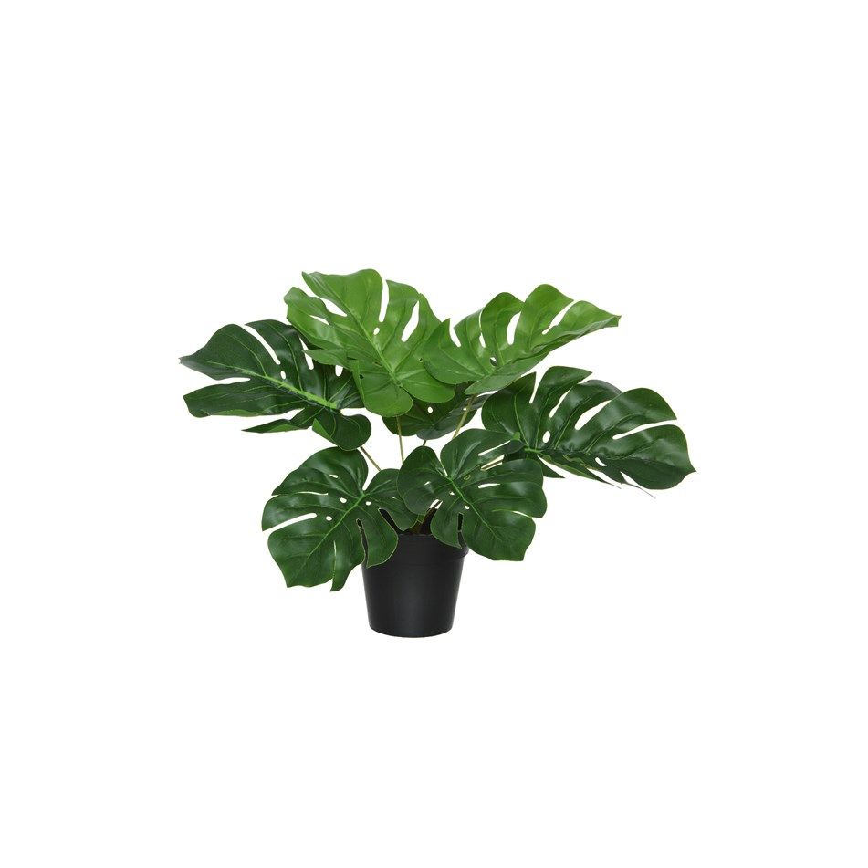 vaso-con-monstera-d-dot-25xh25cm