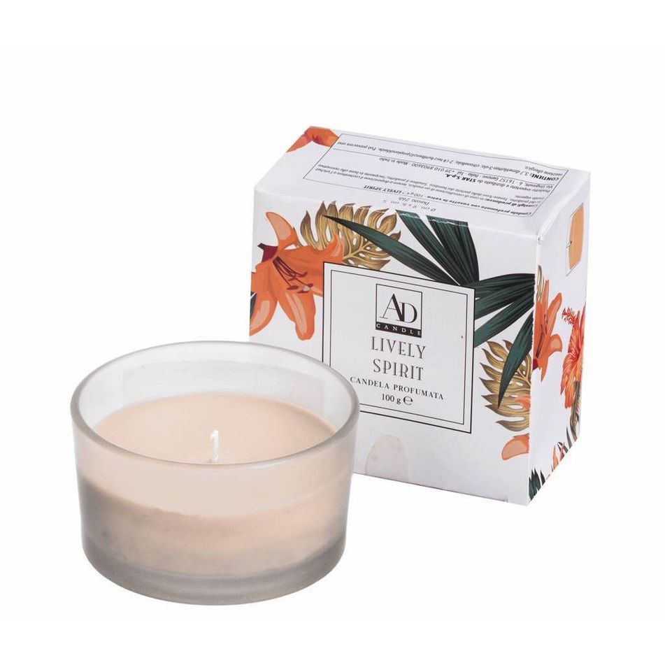 candela-profumata-d-dot-9xh5cm-in-4-fragranze-con-vase