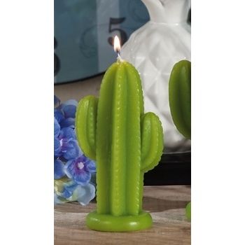 CAND M.CACTUS ASS2COL CM7X5XH12,5
