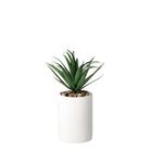 vaso-con-pianta-grassa-decorativa-d-dot-9xh22cm-in-2-c