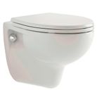 vaso-colibri-2-sospeso-sfu