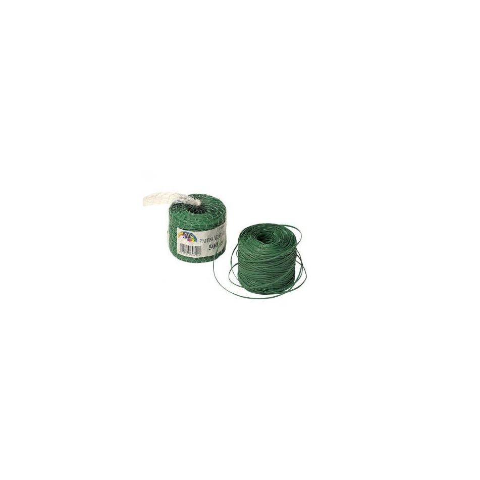 piattina-azzettata-500gr-verde