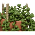 vaso-pensile-marrone-con-pianta-d-dot-10xh40cm-con-cor