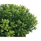 vaso-intrecciato-con-erbetta-d-dot-16xh30cm