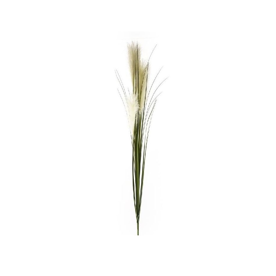 pampas-verde-120cm-con-3-steli