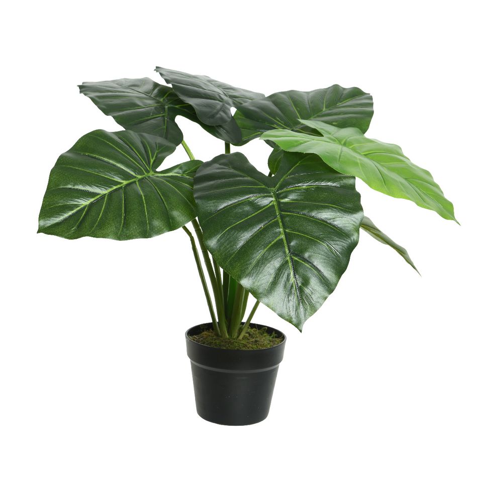 vaso-con-alocasia-69x69xh52cm-di-plastica