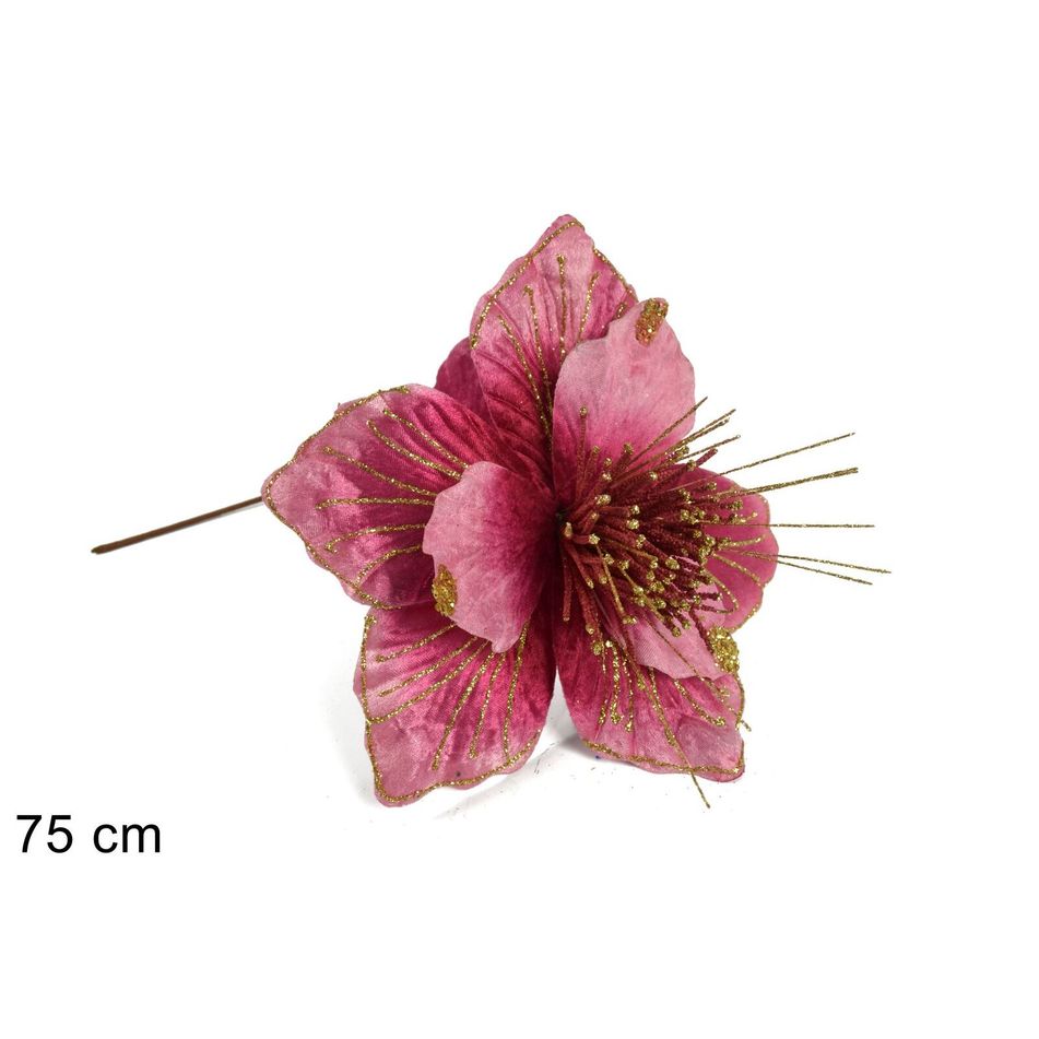 stelo-peonia-natalizia-rosa