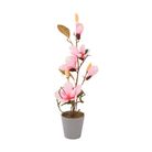 vaso-con-magnolia-5-fiori-e-3-boccioli-d-dot-11xh53cm