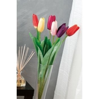 TULIPANO ASS 6 COLORI CM80