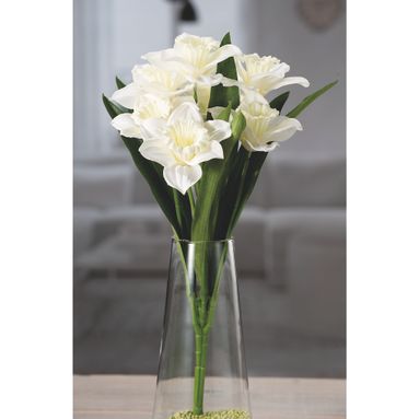 NARCISO BIANCO 7 FIORI X DEC CM48
