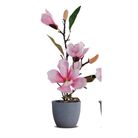 vaso-con-magnolia-3-fiori-e-2-boccioli-d-dot-10xh40cm