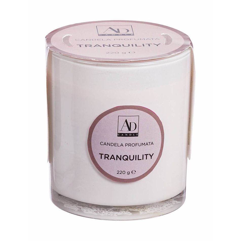 candela-profumata-d-dot-8xh9cm-4-fragranze-con-vasetto