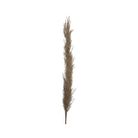 pampas-decorativa-marrone-h100cm