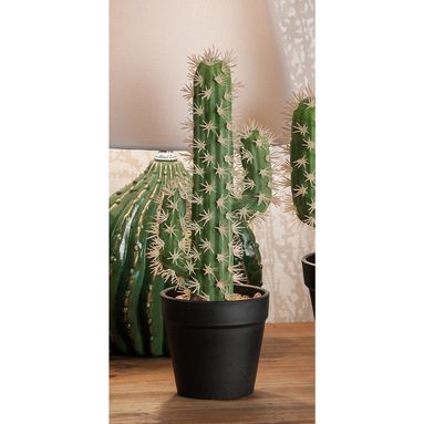 VASO C/CACTUS X DECOR DIAM11XH27,5