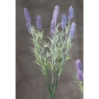 RAMOSC LAVANDA ASS3COL CM52