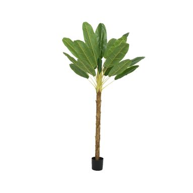 PIANTA DI BANANO 120X120XH280CM VERDE CON VASO.