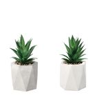 vaso-con-pianta-grassa-decorativa-d-dot-9xh19cm-in-2-c