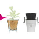 vaso-high-pot-d-dot-38xh43cm-antracite