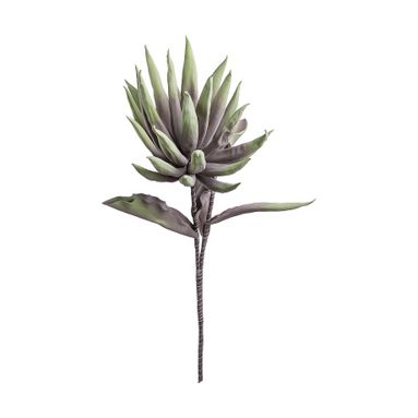 AGAVE DECORATIVA 97CM
