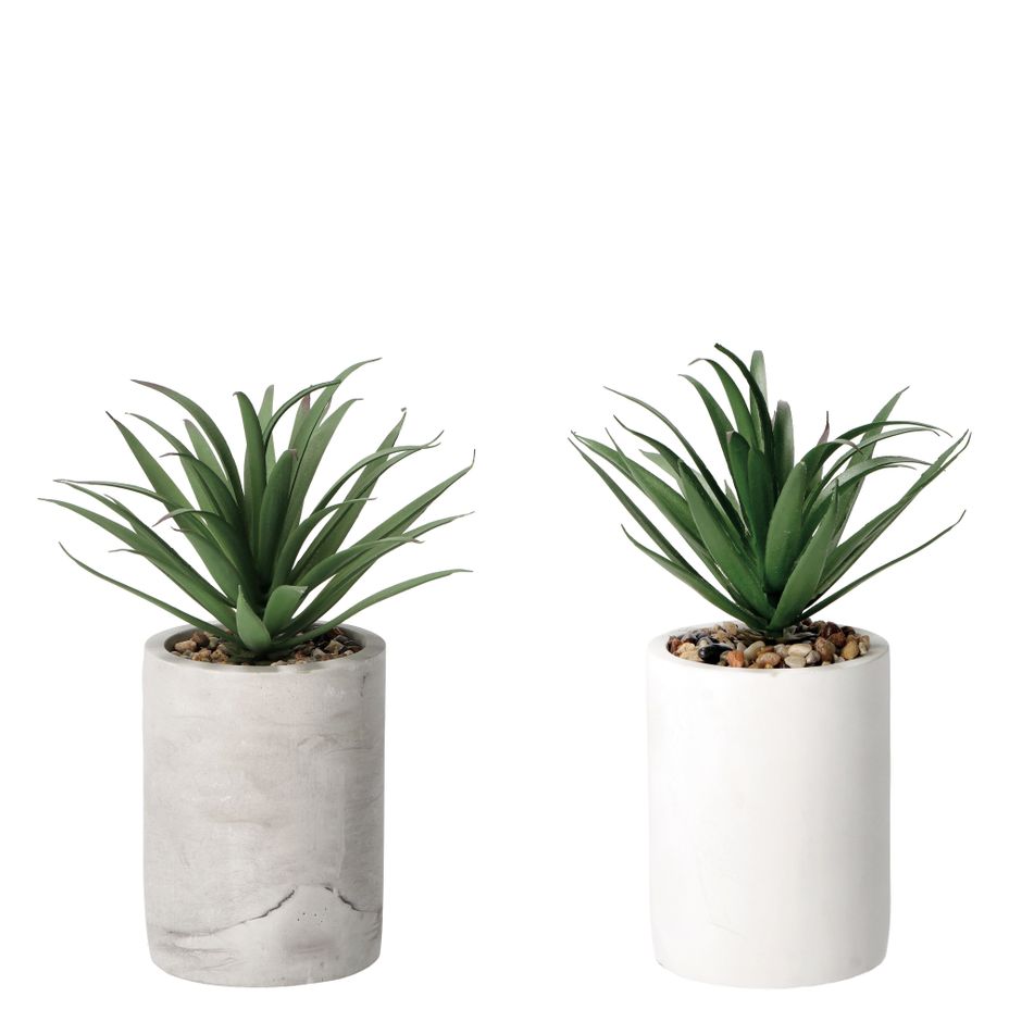 vaso-con-pianta-grassa-decorativa-d-dot-9xh22cm-in-2-c