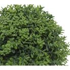 vaso-hedge-d-dot-12xh13cm-con-pianta