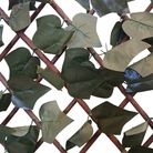 traliccio-estensibile-siepe-ivy-100x200cm-verde