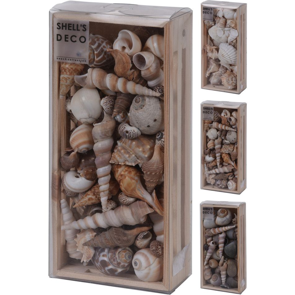 scatola-con-conchiglie-decorative-22x10xh5cm-in-3