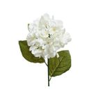 ortensia-decorativa-bianca-h66cm