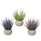 vaso-con-cataranto-d-dot-10xh20cm-in-diversi-colori