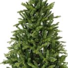 albero-allison-pine-h210cm-con-1778-rami