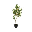 vaso-con-alberello-di-limone-d-dot-43xh92cm