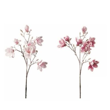MAGNOLIA INNEVATA CM88 ROSA / BIANCA.