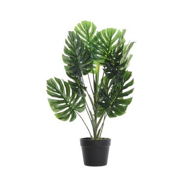 VASO PIANTA VERDE CON FOGLIE LARGHE