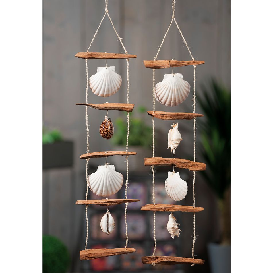 decor-c-slash-conchiglie-ass2mod-cm18x66