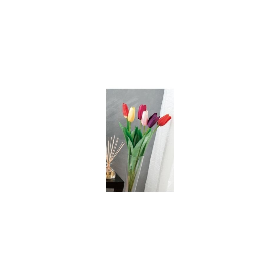tulipano-ass-6-colori-cm80