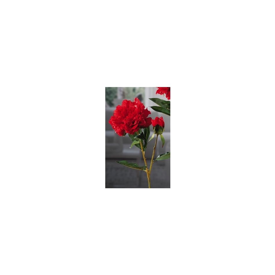 peonia-1bocc-x-decoraz-ass6col-cm79