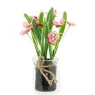 vaso-con-fiori-d-dot-55xh16cm-assortiti-in-vetro-tras