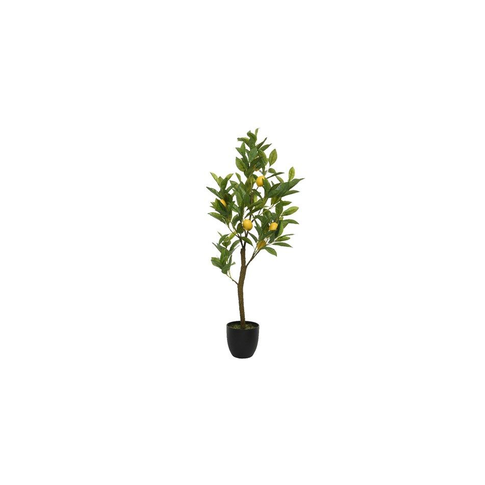 vaso-con-alberello-di-limone-d-dot-43xh92cm