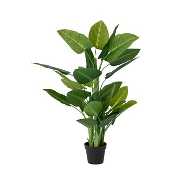 PIANTA LEFLOS 85X85XH130CM CON VASO IN PLASTICA.