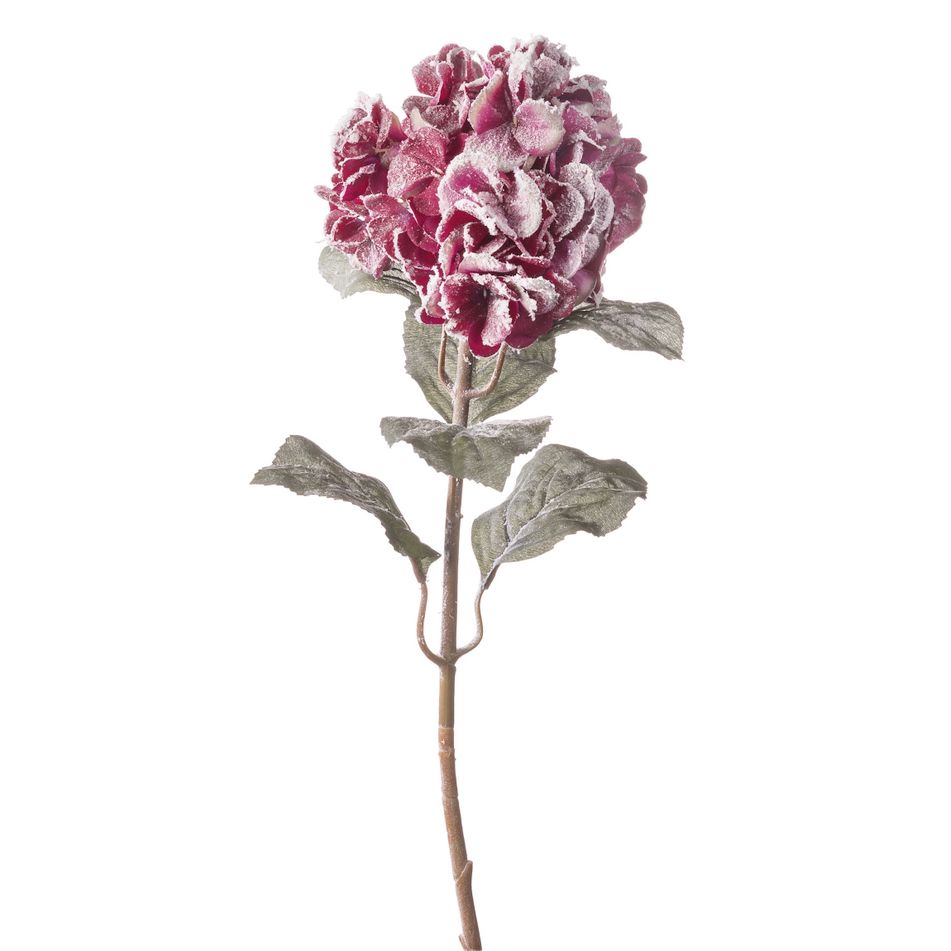 ortensia-innevata-cm85-rosa-slash-arancione