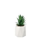 vaso-con-pianta-grassa-decorativa-d-dot-9xh19cm-in-2-c