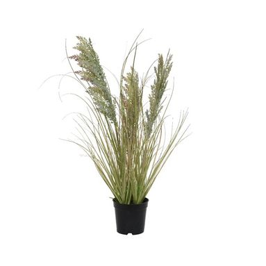 VASO CON ERBA D.25XH60CM