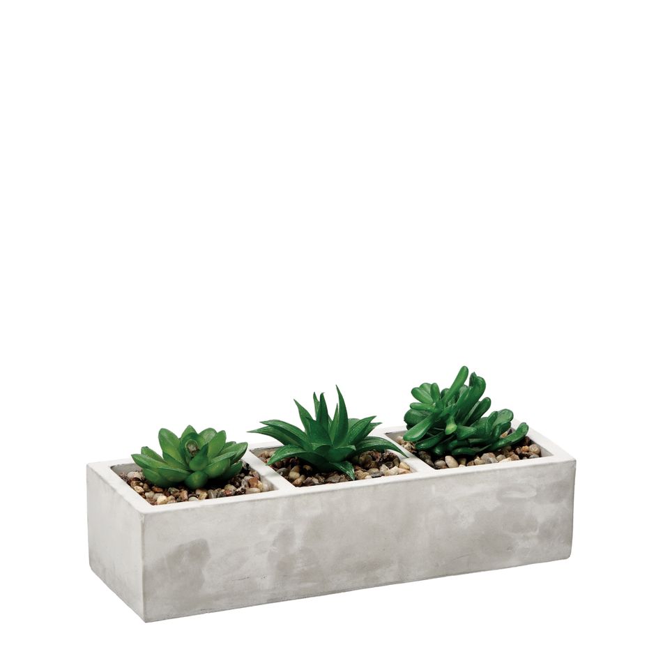 vaso-con-pianta-grassa-decorativa-26x10xh10cm-in-2