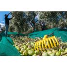 rastrello-9-denti-in-plastica-per-raccolta-olive