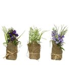 vasetto-in-juta-con-lavanda-d-dot-6xh17cm-in-3-colori
